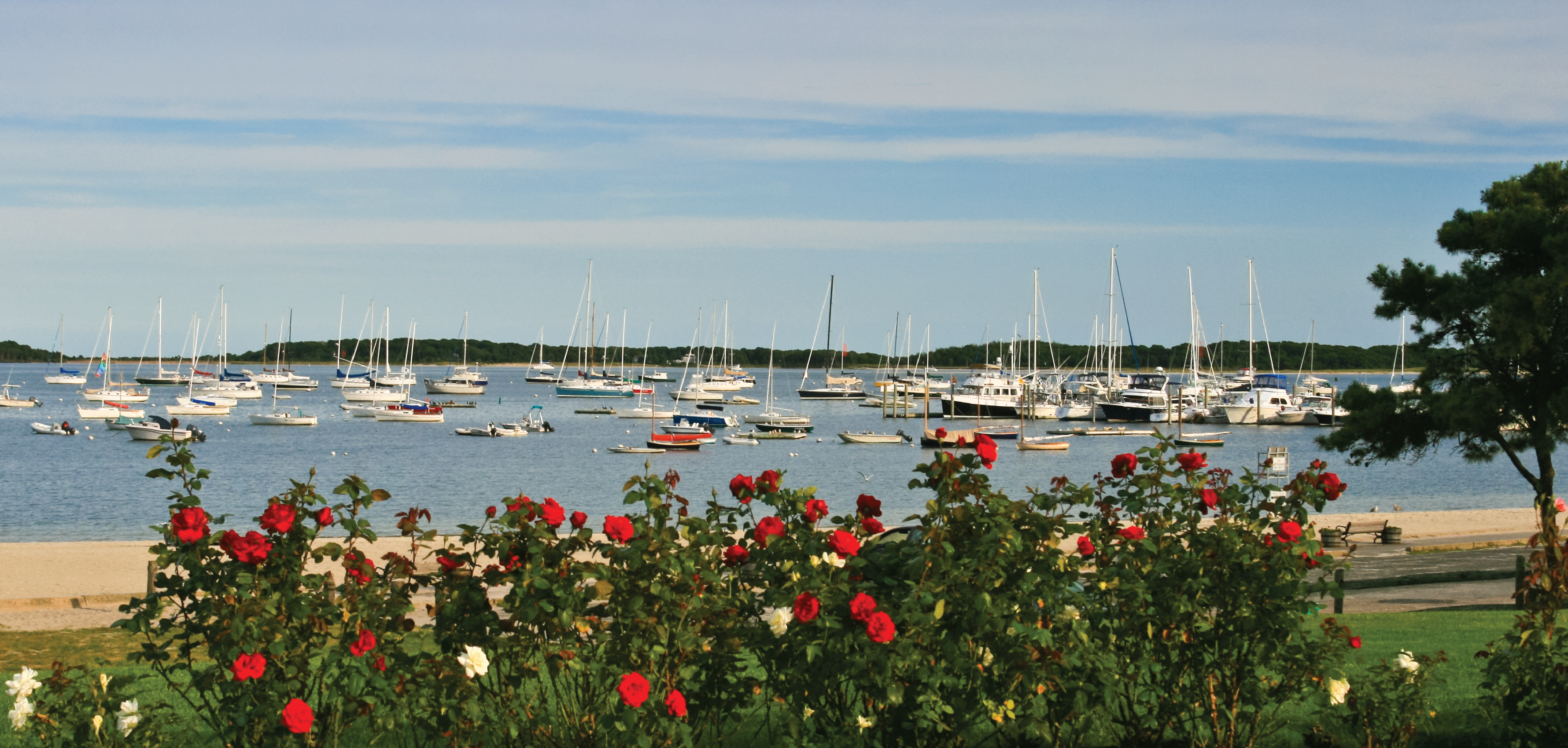 Lewis Bay Hyanis Harbor with boats and red flowers